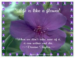 Flowery quote #1