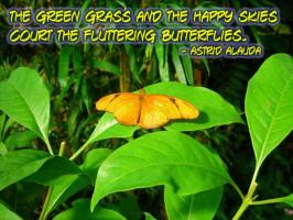 Fluttering quote #2