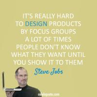 Focus Groups quote #2