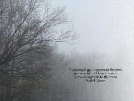 Fog quote #2