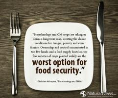 Food Supply quote #2
