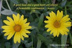 Formidable quote #1