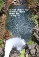 Free Flow quote #2