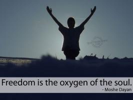 Freedom From quote #2