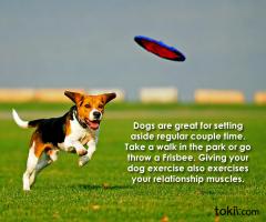 Frisbee quote #2