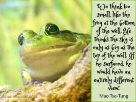 Frog quote #1