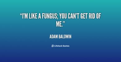 Fungus quote #1