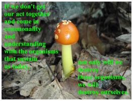 Fungus quote #1