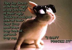 Furry quote #2