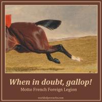 Gallop quote #2