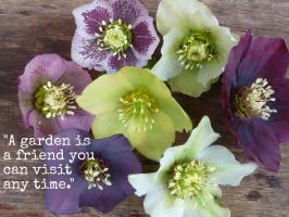 Gardener quote #1