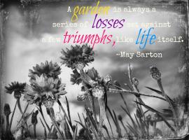 Gardens quote #2