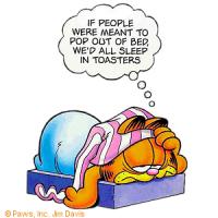 Garfield quote #1