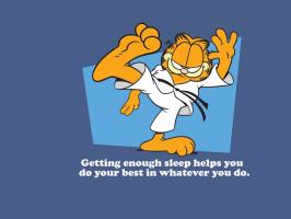 Garfield quote #1