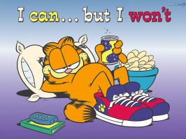 Garfield quote #1