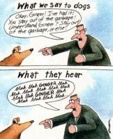 Gary Larson profile photo