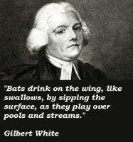 Gilbert White's quote