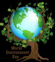 Global Environment quote #2