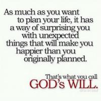 God Has A Plan quote #2