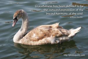 Gracefulness quote #1