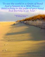 Grain Of Sand quote #2