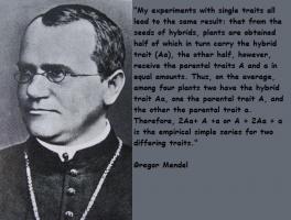 Gregor Mendel's quote #1