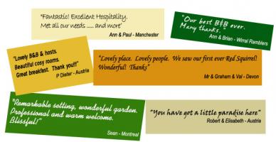 Guests quote #1