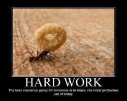 Hard Worker quote #2