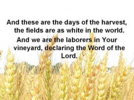 Harvest quote #2