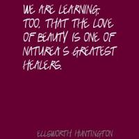 Healers quote #1