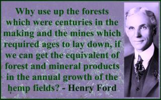 Hemp quote #2