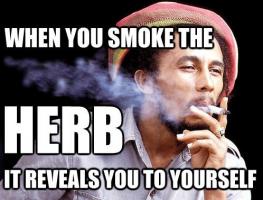 Herb quote #1