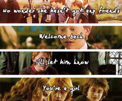 Hermione quote #2