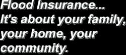 Hispanic Community quote #2
