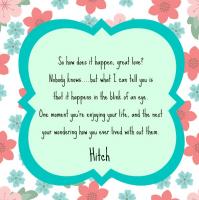 Hitch quote #1