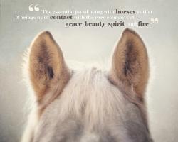 Hoarse quote #2