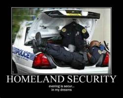 Homeland Security quote #2