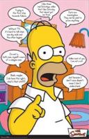 Homer quote #2