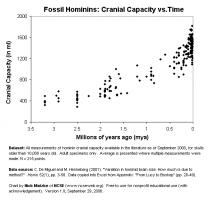 Hominid quote #2