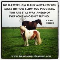 Horse quote