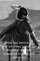 Horse Racing quote #2