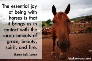 Horseback quote #1