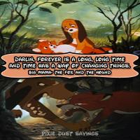 Hound quote #1