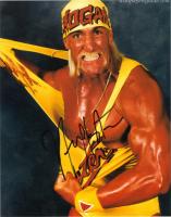 Hulk Hogan profile photo