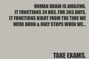 Human Brain quote #2
