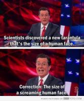 Human Face quote #2