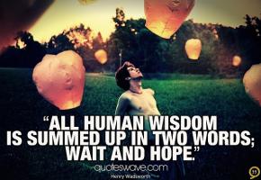 Human Wisdom quote #2