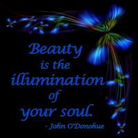 Illumination quote #2