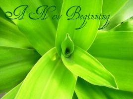 In The Beginning quote #2