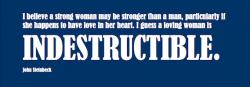 Indestructible quote #2